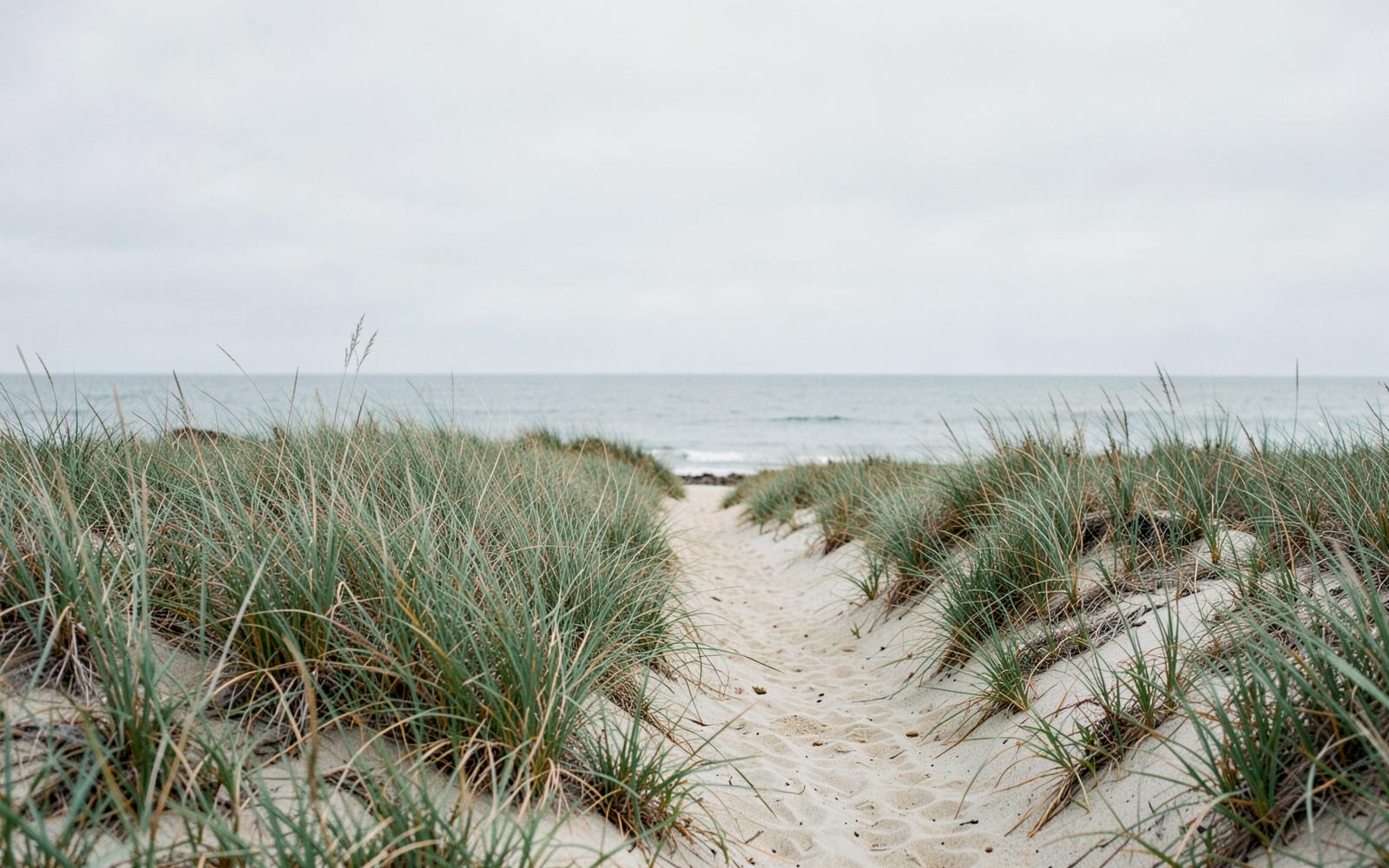 Narrow sandy path through dune grass opening onto the sea