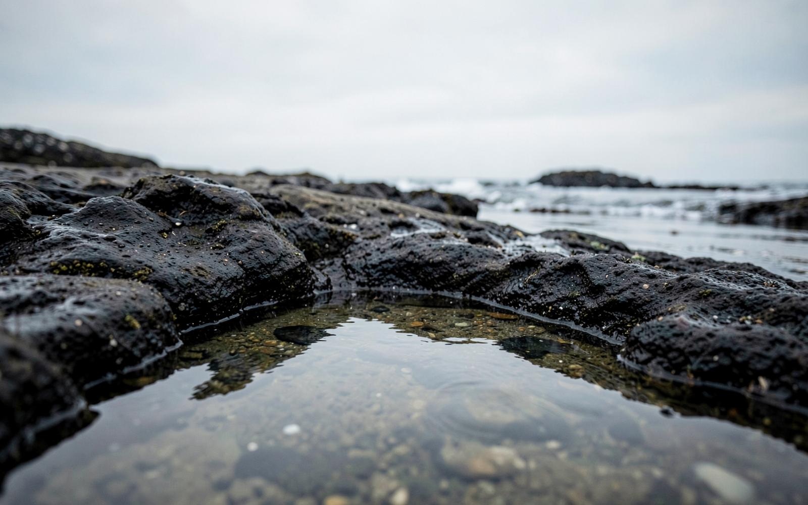Shallow tide pool reflecting a pale sky on a rocky Pacific shoreline